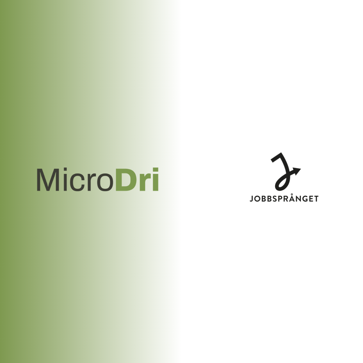 MicroDri Jobbsprånget interns